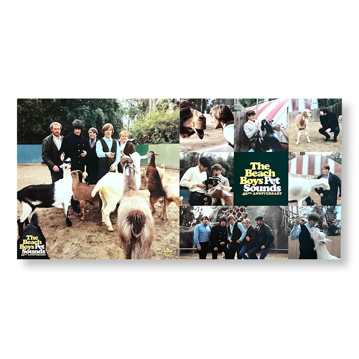 The Beach Boys "Pet Sounds" 40th Anniversary 12 x 24" Double-sided promotional flats