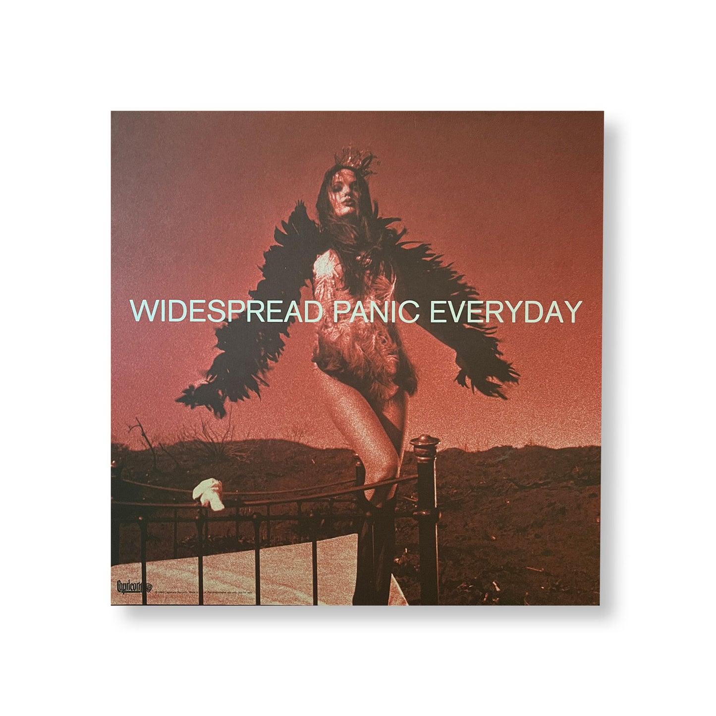 Widespread Panic, "Everyday" 12 x 12" Double-sided promotional flat