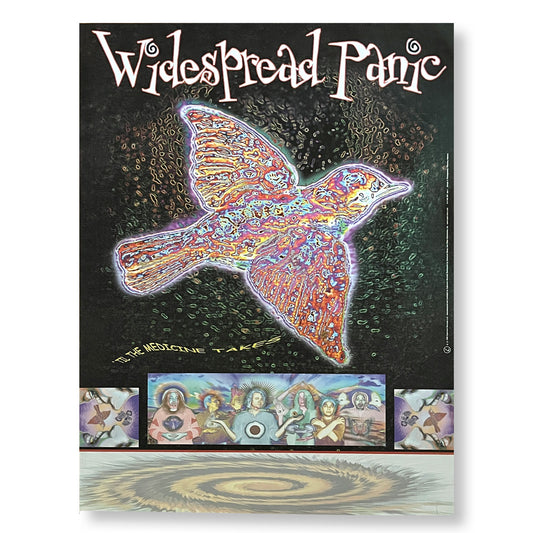 Widespread Panic 18 x 25" Single-sided Promotional Tour poster